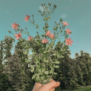 Meet your Posher, Ivy